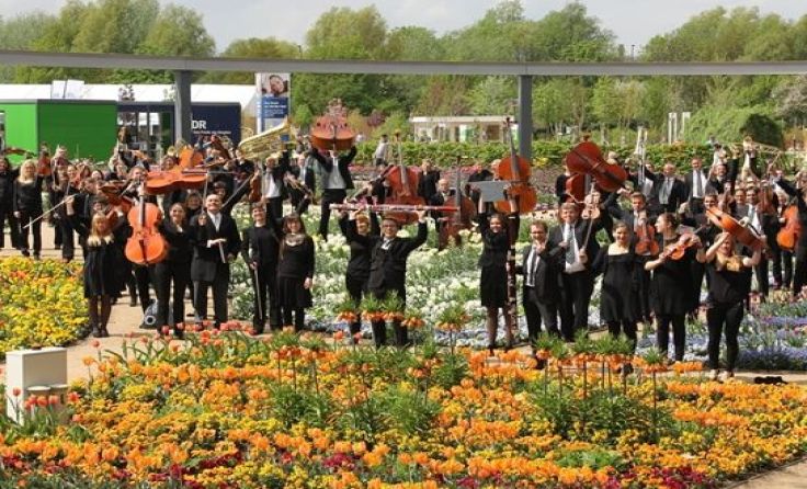 Das Waidhofner Kammerorchester Foto: Günter Edelmayer