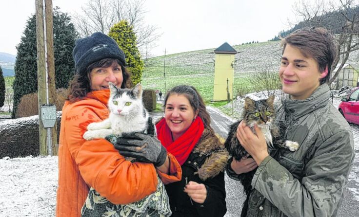 Dank aufmerksamer Anrainer konnten die Katzen Jimmy und Charly gerettet werden. (c) Fellhofer