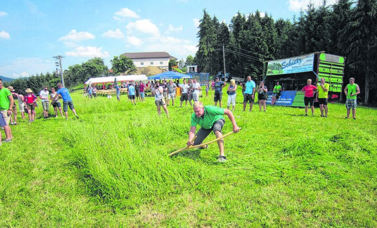 Zahlreiche Zuseher waren beim traditionellen Mähwettbewerb dabei.