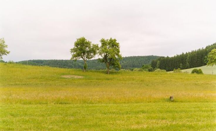 Waldhäuser im Frühsommer (c) Bernhard Fuchs