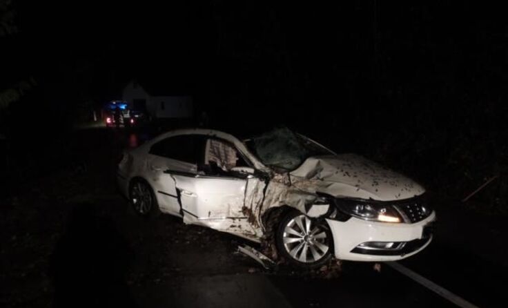 &copy; FF Hofkirchen/Mairhofer Florian