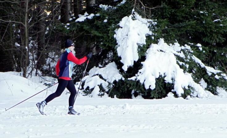 Schneekanonen könnten ein „schneesicheres“ Langlaufen ermöglichen. (c) vowe 