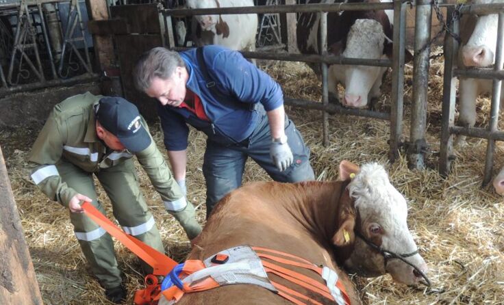 Das Tierrettungsset wurden von den Kameraden der Feuerwehr Treffling fachmännisch angelegt.