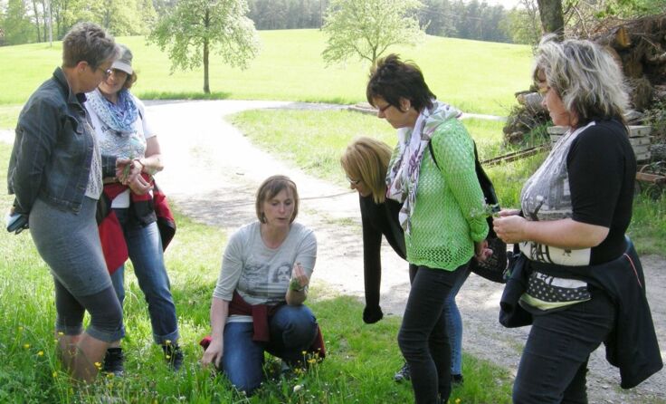 Wissenswertes über die Kräuter und deren Verwendung wurde von Waltraud Hofstadler erklärt