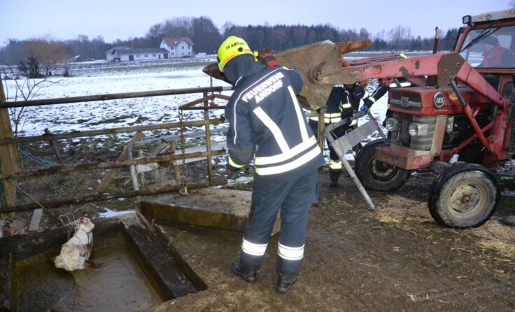 Foto: FF Andorf