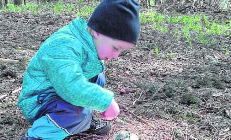 Im Wald gibt es viel zu entdecken. Foto: Kinderfreunde