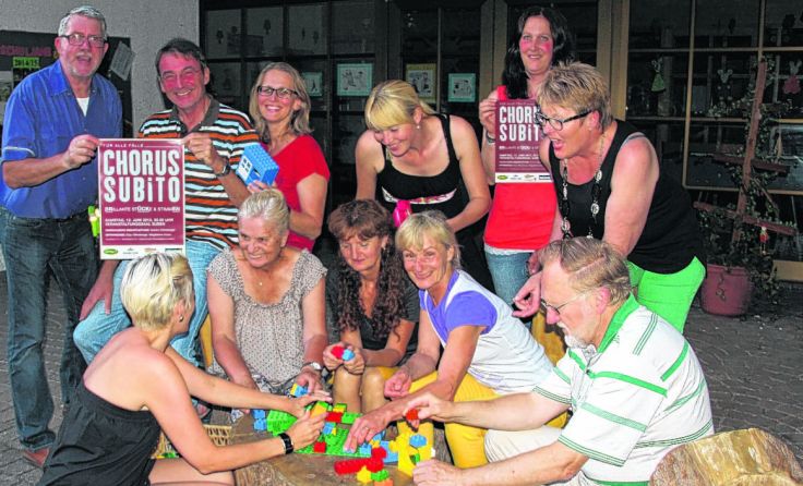 Seit Jänner proben die Sänger des Chorus Subito für das Konzert am 13. Juni.