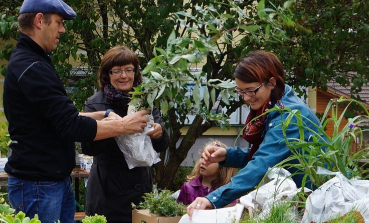 Am 10. Oktober wird der Gemeindeplatz in Diersbach zu einem Pflanzenparadies.