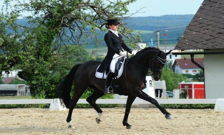 Erfolgreiches Turnierwochenende für Katharina Haas und St. Tropez
Foto: Judith Shiferaw