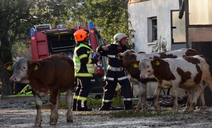 Foto: BFKDO Schärding