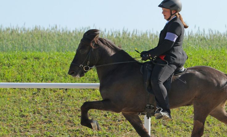 Die Andorfer Pferdefreunde zeigten sich von ihrer besten Seite. Foto: Judith Leidinger