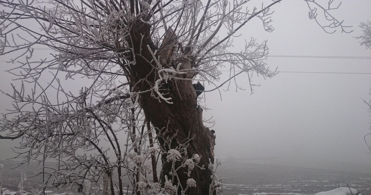Seltsam, im Nebel zu wandern...