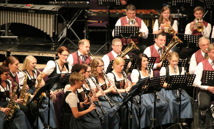 Der Musikverein Weilbach ist Bundessieger 2015 in der Leistungsstufe C.
