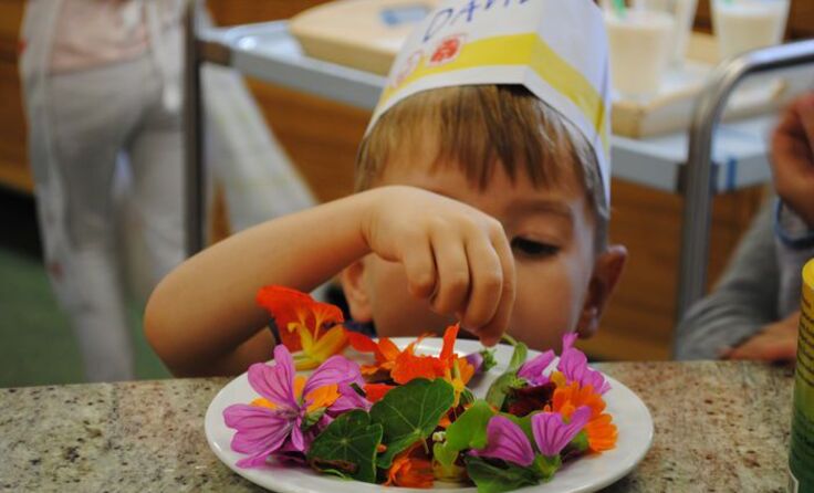 Das Auge isst schließlich mit. Foto: LK OÖ/LFI