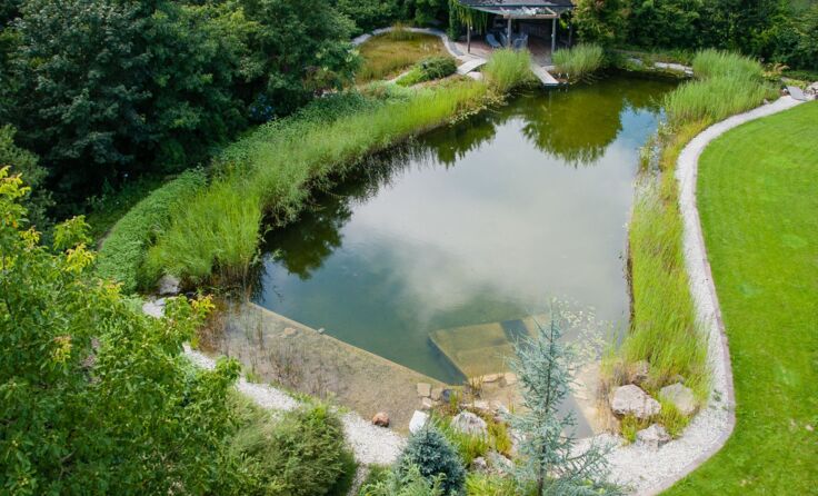 Der Teich vor der Sanierung. Foto: © HIGHFOTO.at - Erwin Berghammer