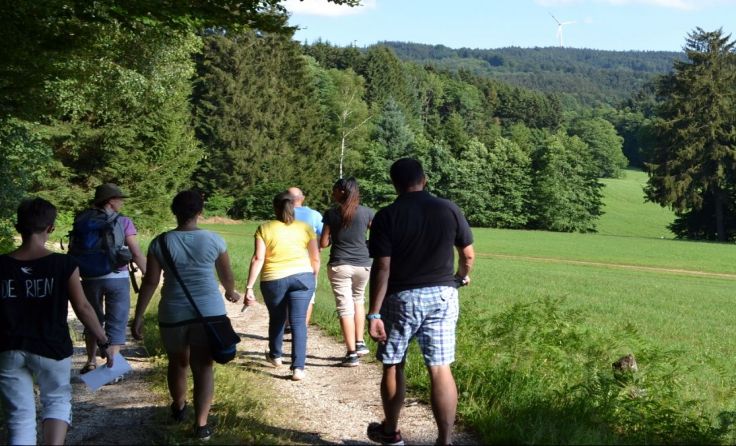 Schöne Wanderungen entlang der Innviertler Wälder Foto: privat