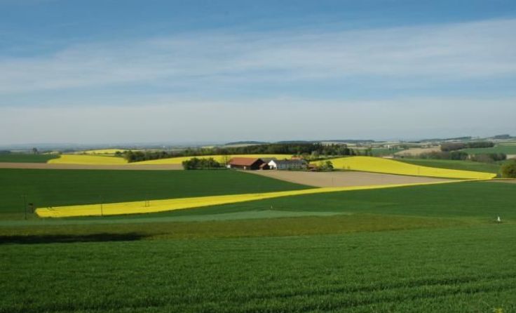 Schöner Blick auf die Gemeinde Weilbach