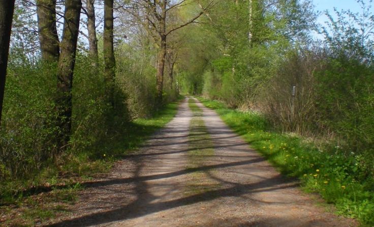 Wanderweg in den Innauen Foto: Palliativstation KH BHS Ried