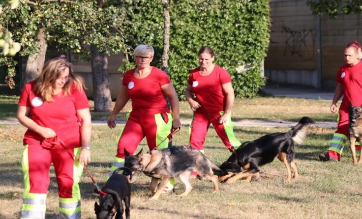 Die Teams beeindruckten die Zuseher mit ihren Hunden.