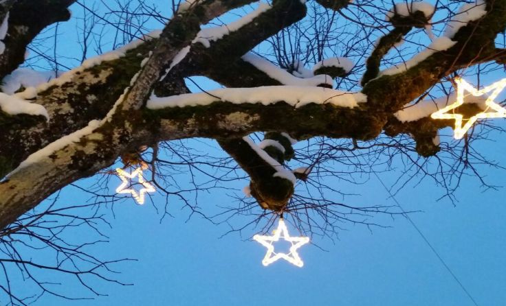 Foto: Wohlmacher