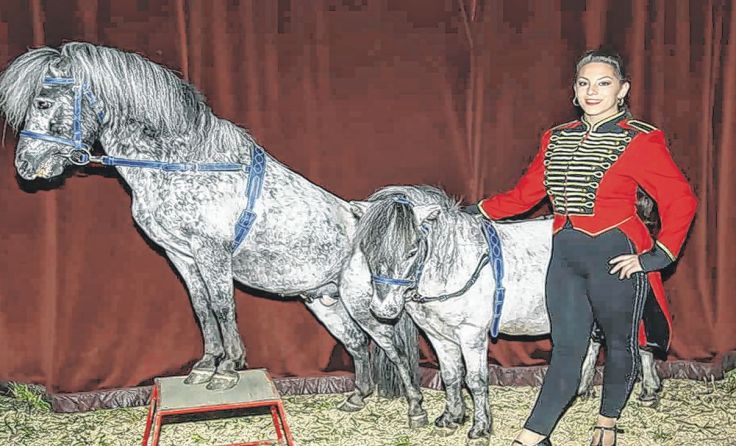 Vom 14. bis 17. März gastiert der Circus Althoff in Ried. Foto: Robert Rieger