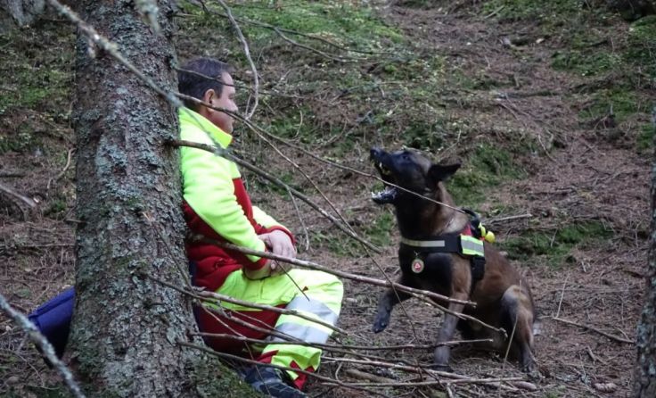 Die Hundeführer beim Training im Wald Foto: privat