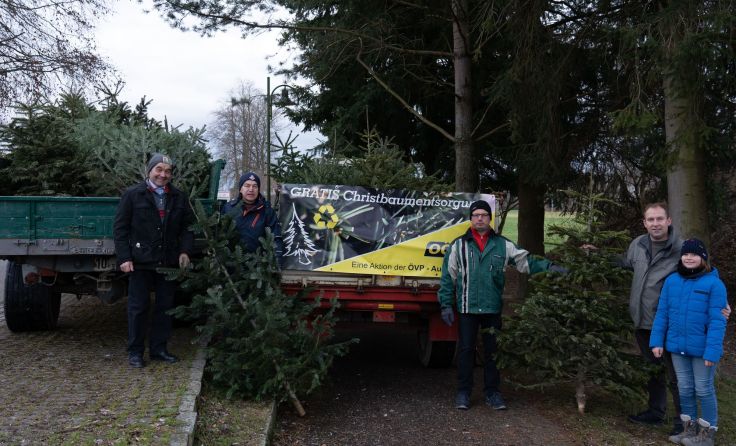 Die werden Christbäume eingesammelt und zu Hackschnitzel verarbeitet. Foto: privat