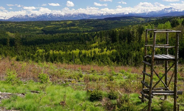 Die grüne Lunge des Innviertels Fotos: Innviertel Tourismus/Litzlbauer