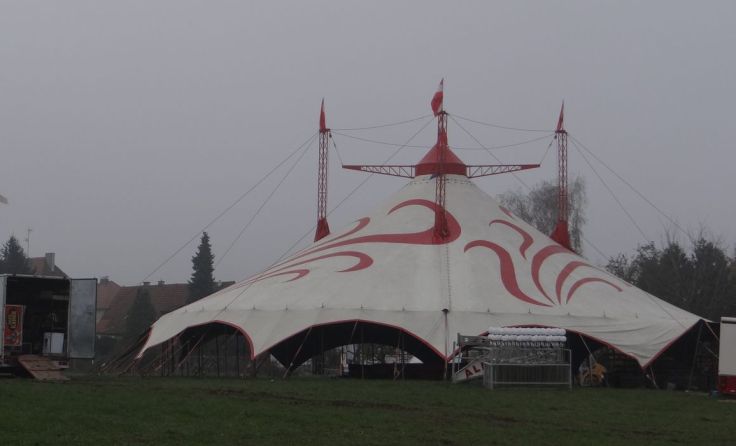 Der Zirkus benötigt dringend Futter für die 40 Tiere. Foto: Tips