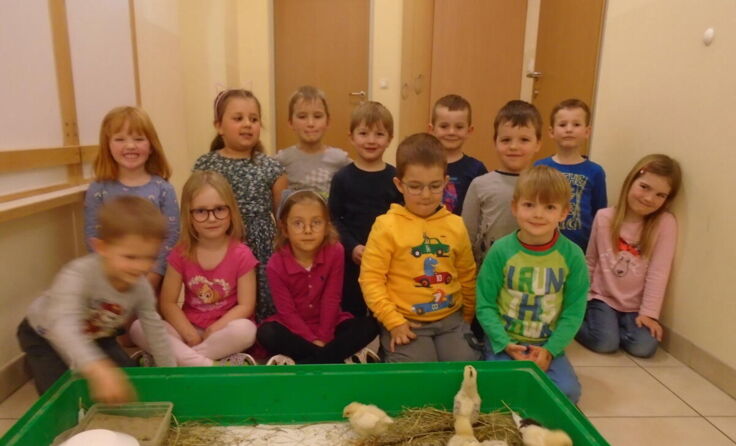 Die Kindergartenkinder bestaunen die Küken. (Foto: privat)