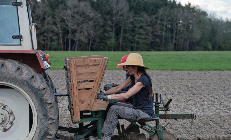 Julia Dietrich und Florian Gadermaier bei der Ernte (Foto: privat)