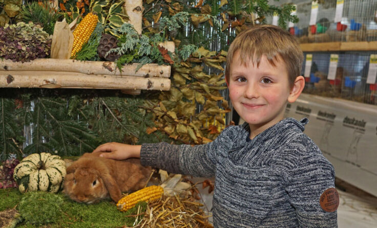 Die Kleintierschau ist auch bei Kindern sehr beliebt. (Foto: Litzlbauer)