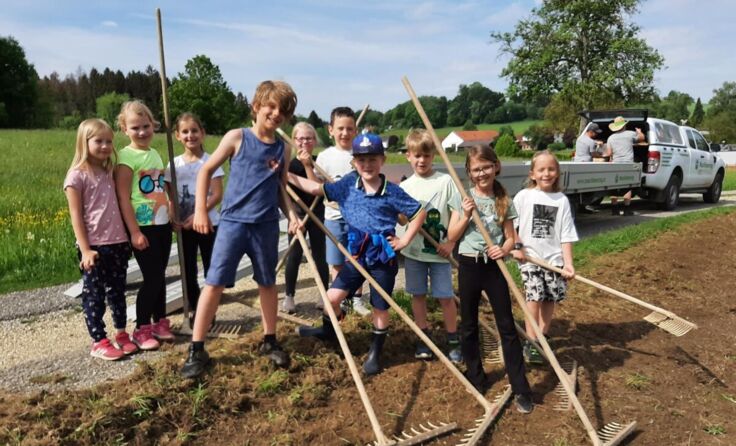 Die Volksschüler errichten eine Blühwiese. (Foto: privat)