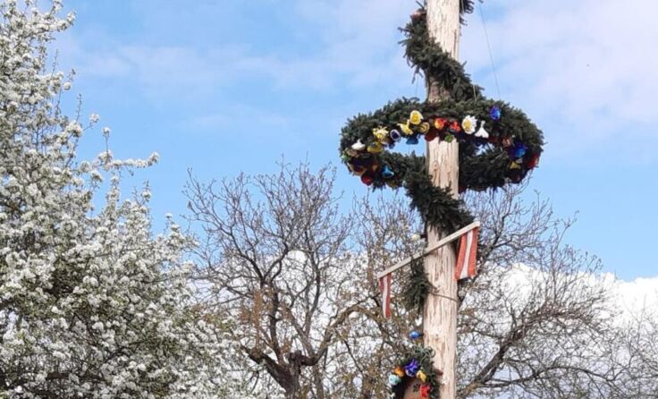 Geschafft - der Maibaum steht. (Foto: privat)