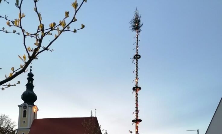 Beleuchteter Maibaum (Foto: Rosenauer)