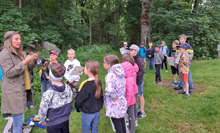 Die Volksschüler aus Lohnsburg erforschen die Natur (Foto: VS Lohnsburg)