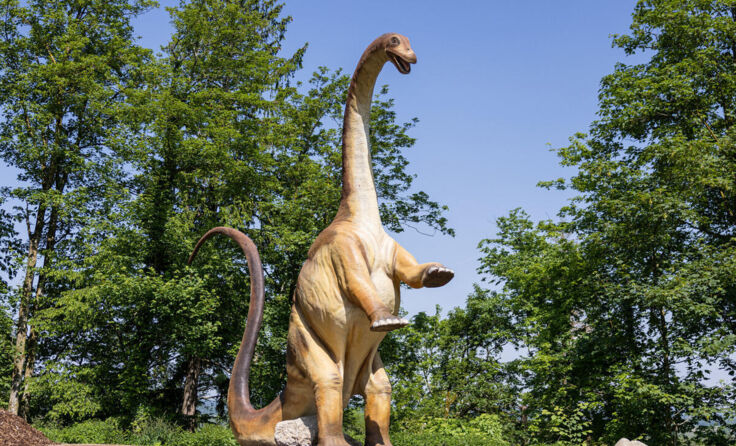 Der Dino sucht im Wasserpark nach Abkühlung. (Foto: Dominik Gruss)
