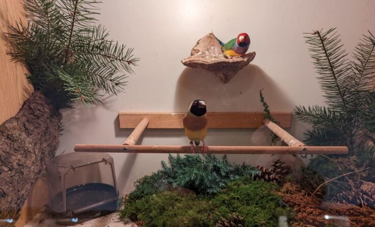 Zu sehen sind auch exotische Vogelarten. (Foto: privat)