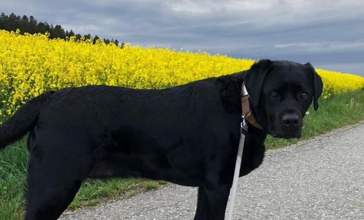 Von Lea fehlt jeder Spur. (Foto: privat)