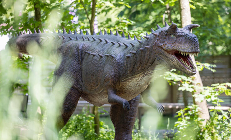 m Dinoland warten spannende Neuzugänge auf die Besucher. (Foto: Dominik Gruss)