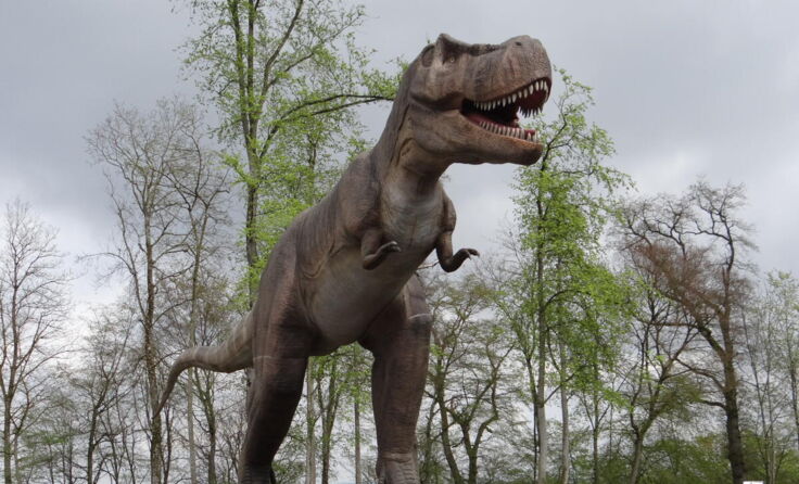 T-Rex thront über den Familien-Erlebnis-Park (Foto: Tips/Pixner)