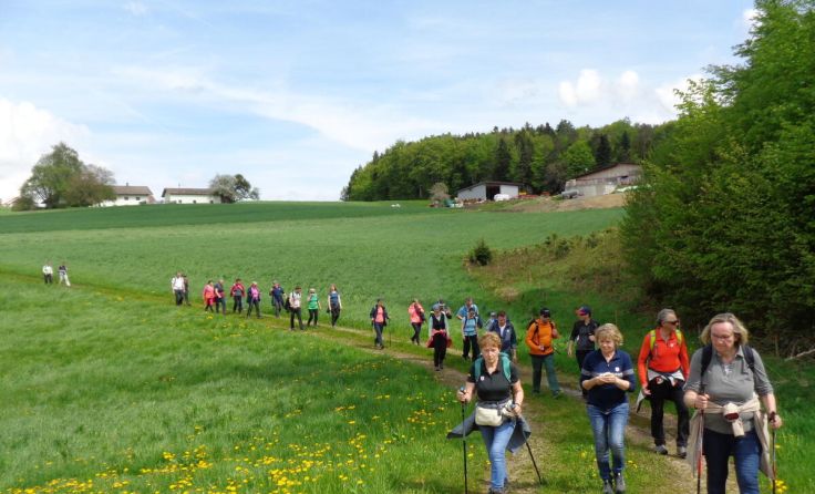 Die Rieder und Tumeltshamer marschieren wieder nach Maria Schmolln. (Foto: privat)
