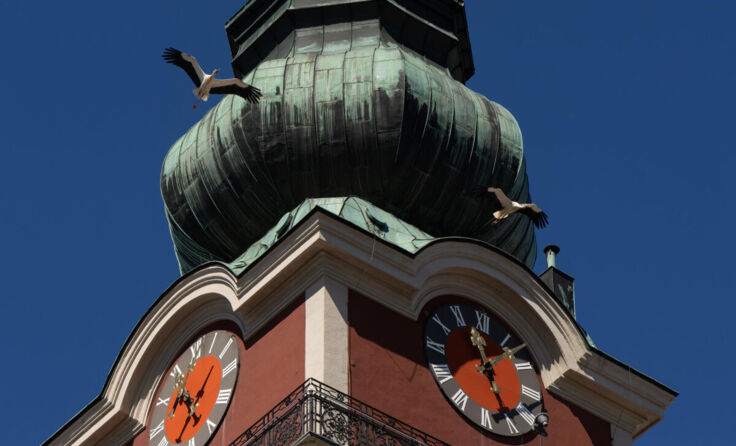 . (Foto: Pichler)