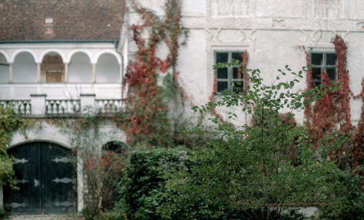 Idyllischer Blick in den Schlossgarten (Foto: S'Innviertel-Tourismus/Grilz)