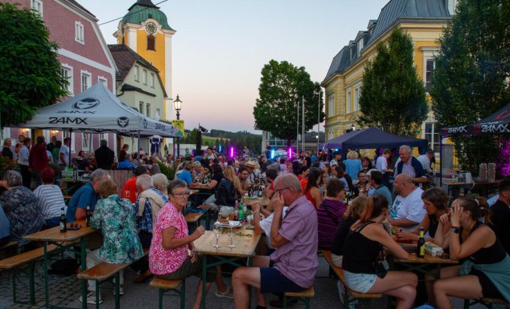 Gemütliches Beisammensein beim Sommerfest 2023 (Foto: Gierlinger)