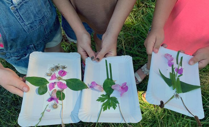 Bei der Aktion Wildbienen wurde kreativ mit Naturmaterialien gebastelt. (Foto: Pirklbauer)