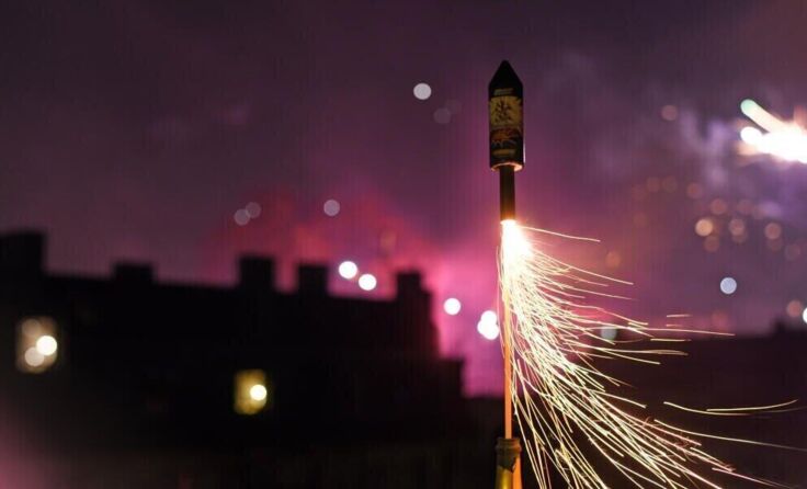 Tiere mögen die Silvester-Knallerei nicht. (Foto: stock.adobe.com/Marco Martins)