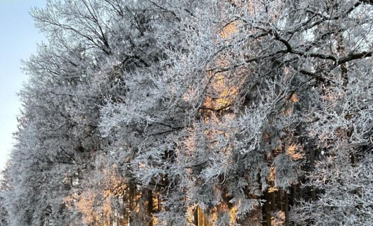 . (Foto: Stockinger)