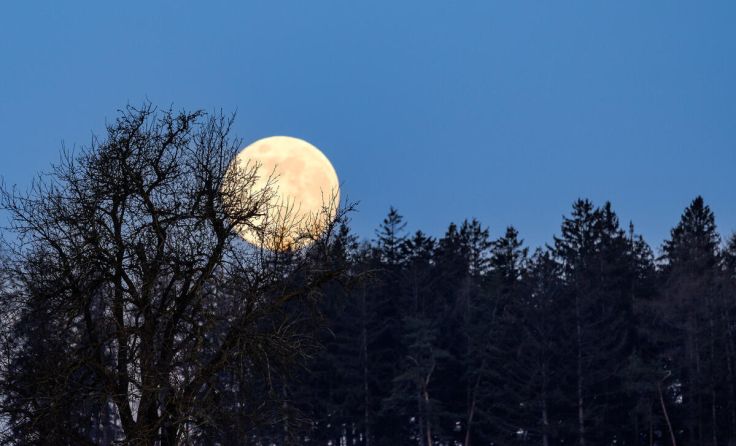 . (Foto: Bermadinger)