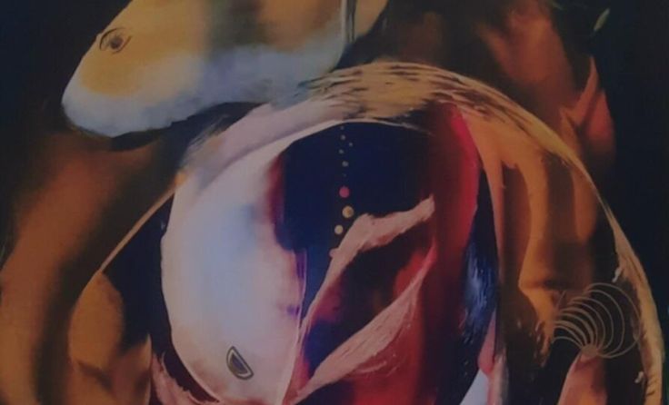 Diese Mischtechnik-Übermalung hat Agnes Maria als "Fischehochzeit" betitelt. (Foto: Agnes Maria)